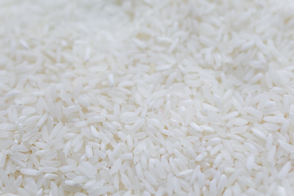 Rice